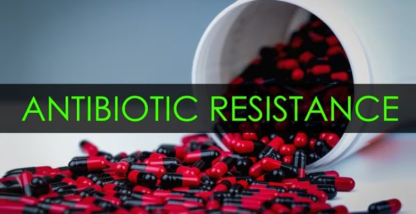 Unraveling Antibiotic Resistance: Causes, Prevention, and Expert ...