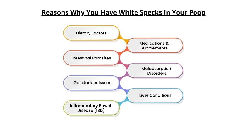 What Causes white specks in your stool? GetCareMD