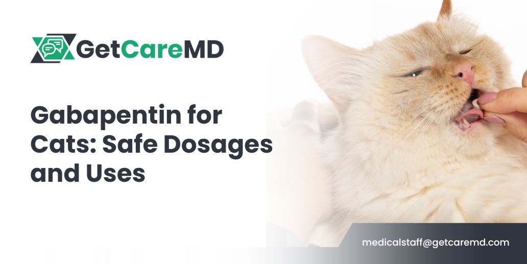 gabapentin uses for cats